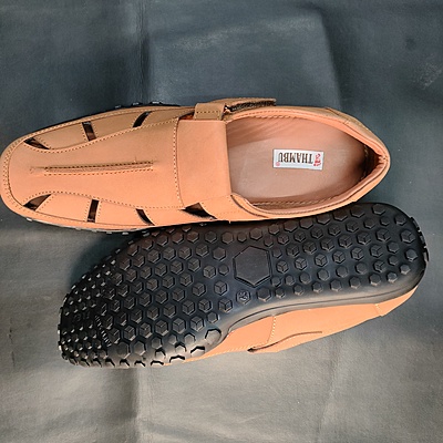 Brut 683